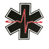 panther medic logo